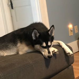 Meet your Posher, Jay